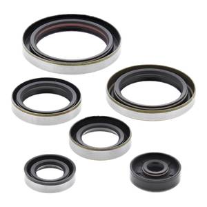 Engine: Oil Seal Kit 822269