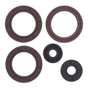 Engine: Oil Seal Kit 822362