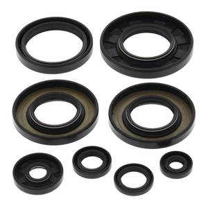 Engine: Oil Seal Kit 822349