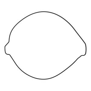 Outer Clutch Gasket Kit 819267