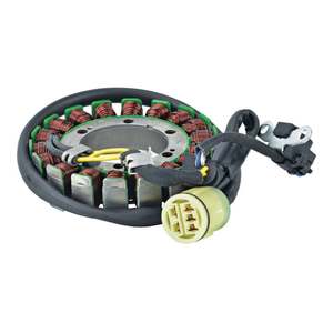 Electrical: Stator Coil 340-58061