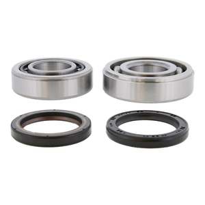 Main Bearing and Seal Kit