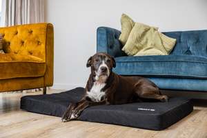 Other Cool Stuff: Dog Beds - Wool.Life
