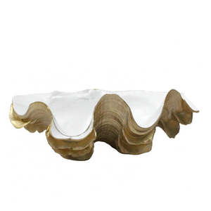 Coastal: Clam Shell White/Gold