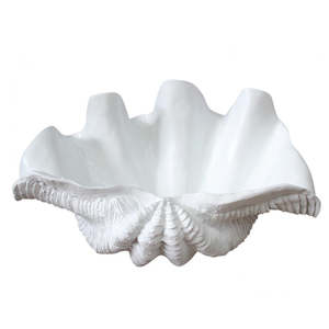 White Clam Shell