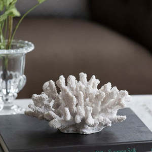 Corals Shell: Coral Nautical