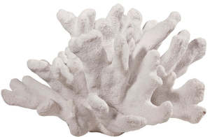 Corals Shell: Coral Curved