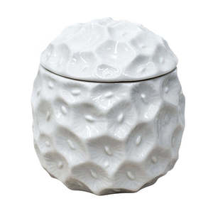 Sea Sponge Cannister