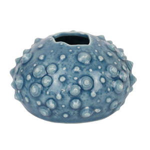 Vase Urchin Point