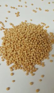 MUSTARD SEEDS YELLOW 500GM PKT - Northern Foods