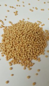 MUSTARD SEEDS YELLOW 25KG BAG - Northern Foods