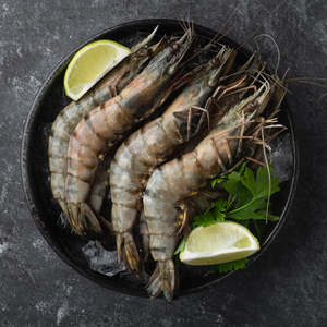 Frozen: Jumbo Black Tiger Whole Prawns