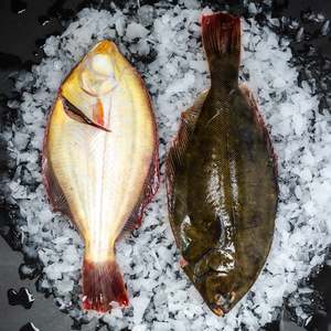 Fresh: Fresh Flounder (Pack for 2)