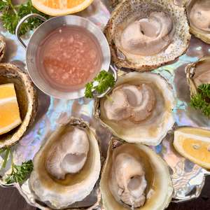 Frozen: Fresh Bluff Oysters