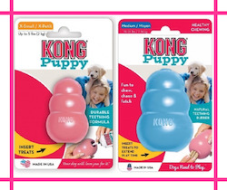 Puppy Essential Growth: Kong Puppy