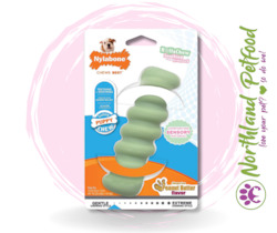 Puppy Essential Growth: SALE 15% OFF AT CHECKOUT -- Nylabone Puppy Chew Tactile Stick - Regular