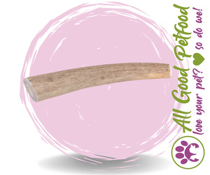 Natura Whole Hard Antler (Small, Medium, Large)