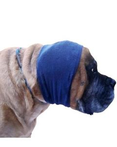 Products: Blue Happy Hoodie