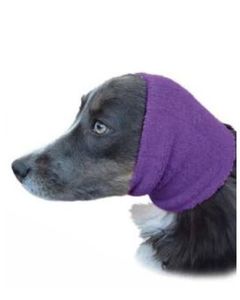 Products: Purple Happy Hoodie