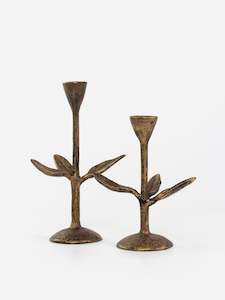 Candle Holders Hurricanes: Leaf Candle Holder