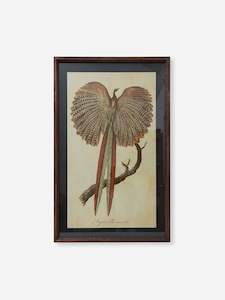 Wall Art: Pheasant Wall Art