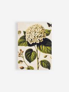 Desk Top: White Hydrangea Jotter Pad