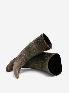 Decorative Objects: Natural Horn