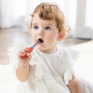 Teething: Mombella Silicone Ladybug Training Toothbrush
