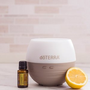 Products: Petal Diffuser