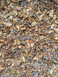 Nourishe Hello Focus Herbal Infusion 30g Nourishe Health supports cognition clar&hellip;