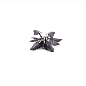 Gamersgrass: Laser Plants - Black Magic Taro