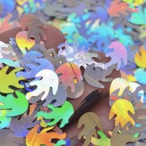 Holographic Silver Flame Glitter 3g