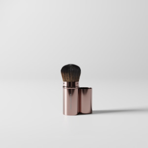 Retractable Travel Brush 10