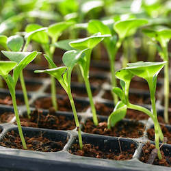 All: Ag Pads  Flat Panel Heating System