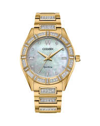 Citizen: Citizen Eco-Drive EM1022-51D