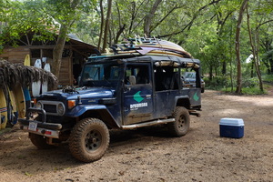 Products: 3 Eco-Friendly Nature-Immersive Volunteer Opportunities Around the World