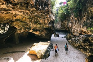 humanity Nut Brown Rose