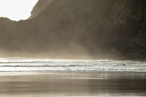 Products: featured Page 2 of 4 Nut Brown Rose