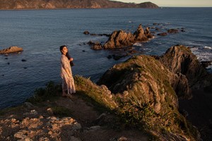 Products: 10 interesting facts about Wellington, New Zealand Nut Brown Rose