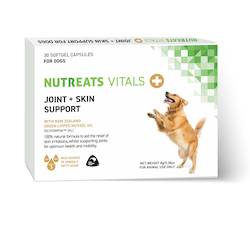 Joint & Skin Support for dogs