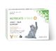 Joint & Skin Support for cats