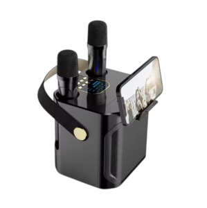 Audio: Bluetooth Karaoke Speaker Stereo With Dual Microphones