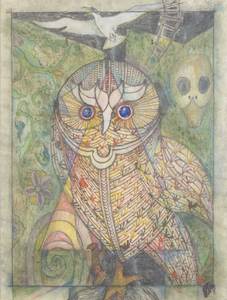 Frontpage: Untitled (Owl)
