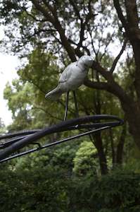 Juliet Novena Sorrel: Offering