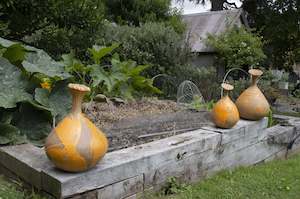 Sculpture On The Peninsula Finale Event: Random Embrace