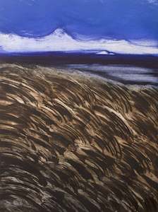 Coast To Coast: Oaiaa, Home of Gannets