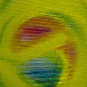 Hues In Harmony: Up Quark