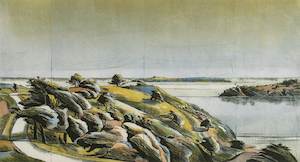 Our Land: Road - Mahurangi