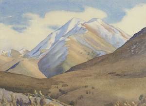 Our Land: Flagpole Hill