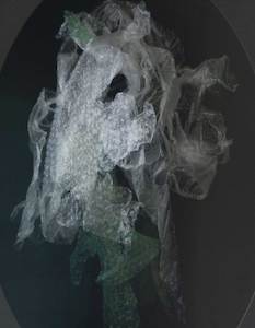 Abby Taylor: Ghost Horse